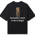 Everythin is illegal