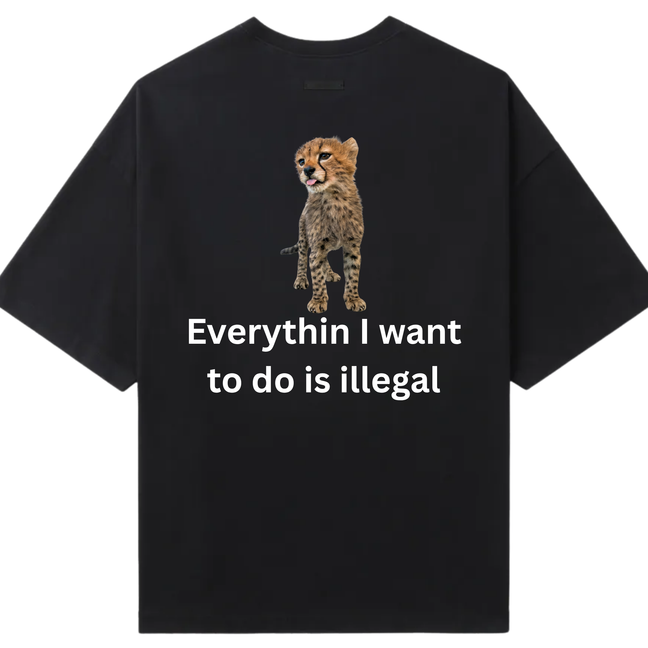 Everythin is illegal
