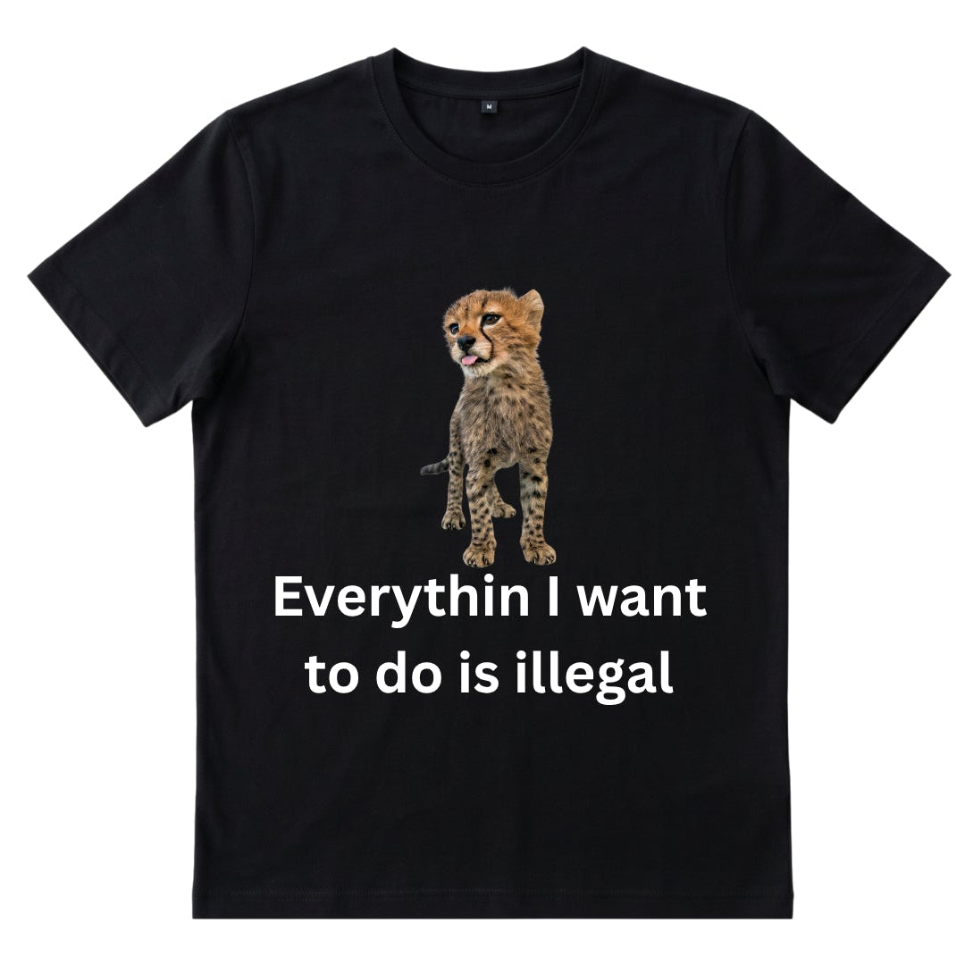 Everythin is illegal