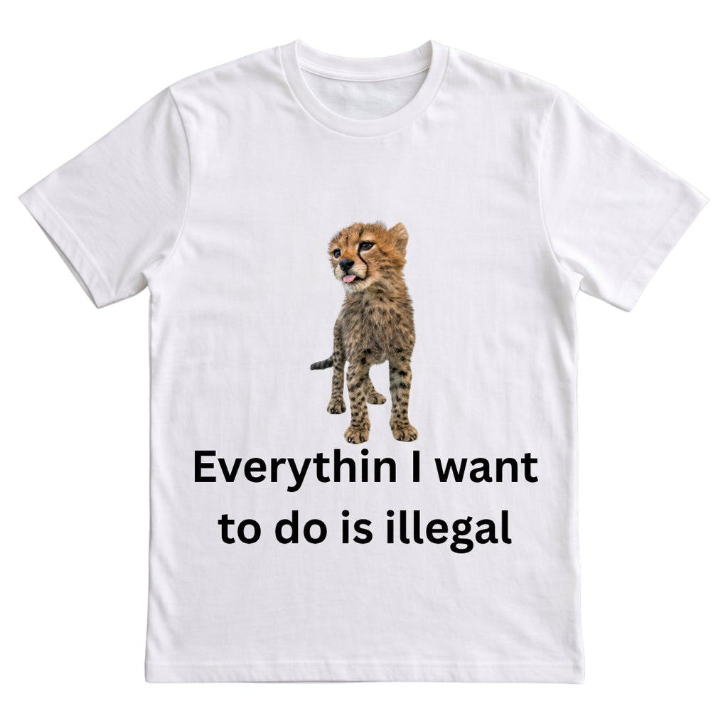 Everythin is illegal