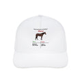 Horse Pros and Cons Cap — White