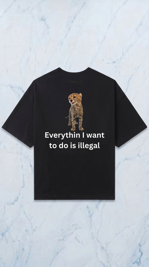 Everythin is illegal